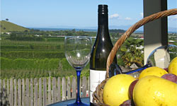 Enjoy sea views of the Tasman Bay from your accommodation